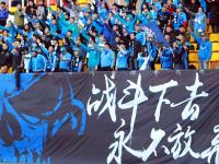 开云体育在线登录-球队的团结拼搏赢得人们赞誉