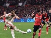 开云体育app下载-法国迎战芬兰，豪门对决火爆引发关注的简单介绍