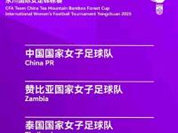 开云体育在线-国际女足胜利助力亚洲开创新纪元中国队表现抢眼的简单介绍