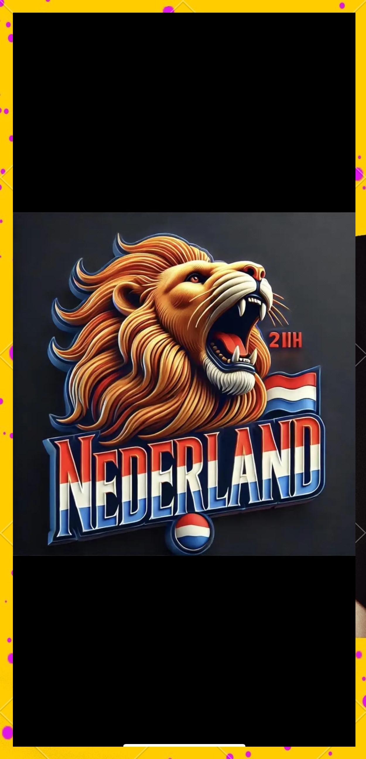 荷兰国家队备战英格兰,决战四强 荷兰国家队备战英格兰,决战四强