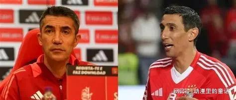 本菲卡高层透露将与沃夫斯堡协商引援事宜 本菲卡高层透露将与沃夫斯堡协商引援事宜