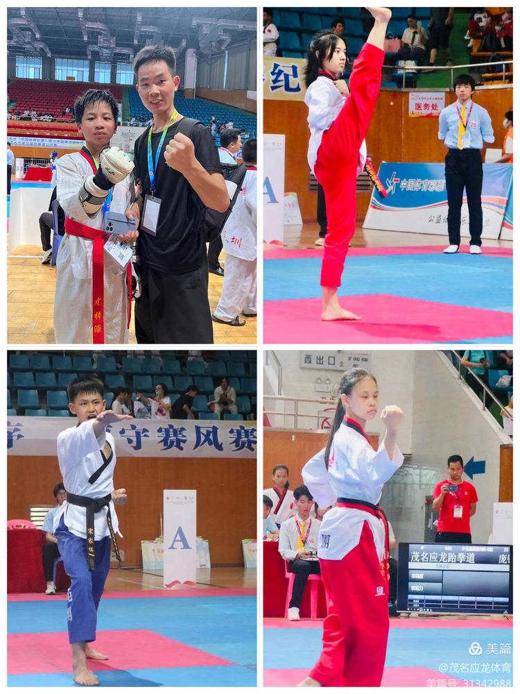 北美代表队多奖项收获，成绩斐然