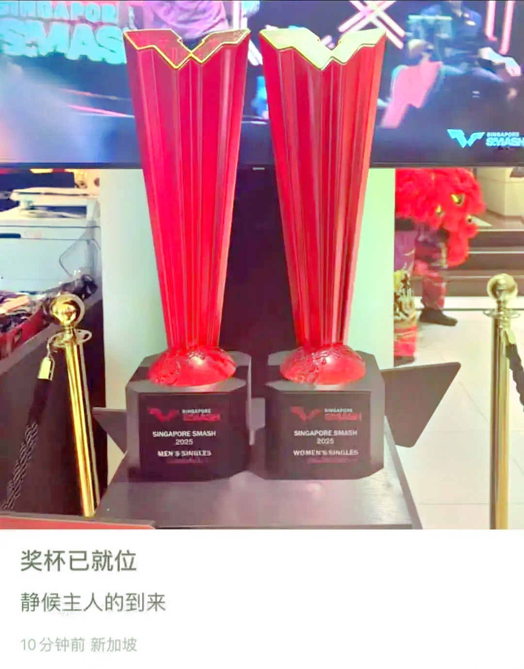 队员们在比赛中展现出色表现，获得冠军奖杯